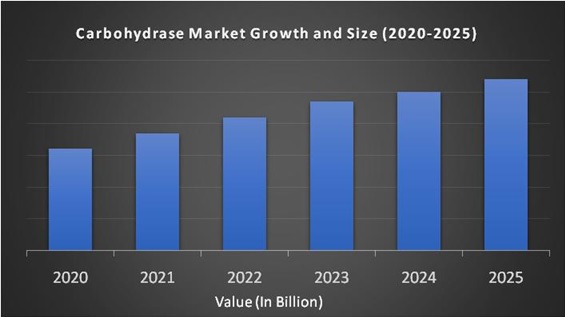  Carbohydrase Market